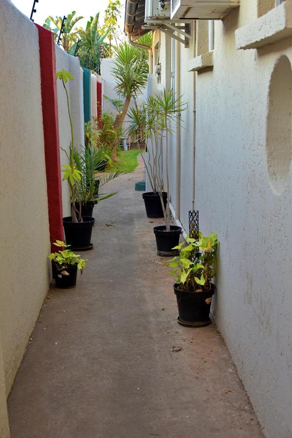 Houghton Guest House Johannesburg Exteriér fotografie