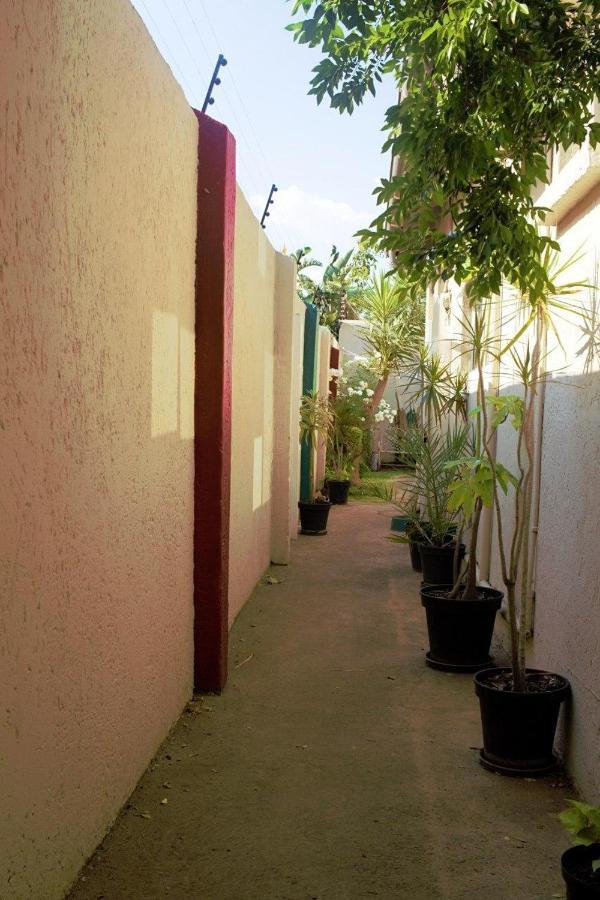 Houghton Guest House Johannesburg Exteriér fotografie